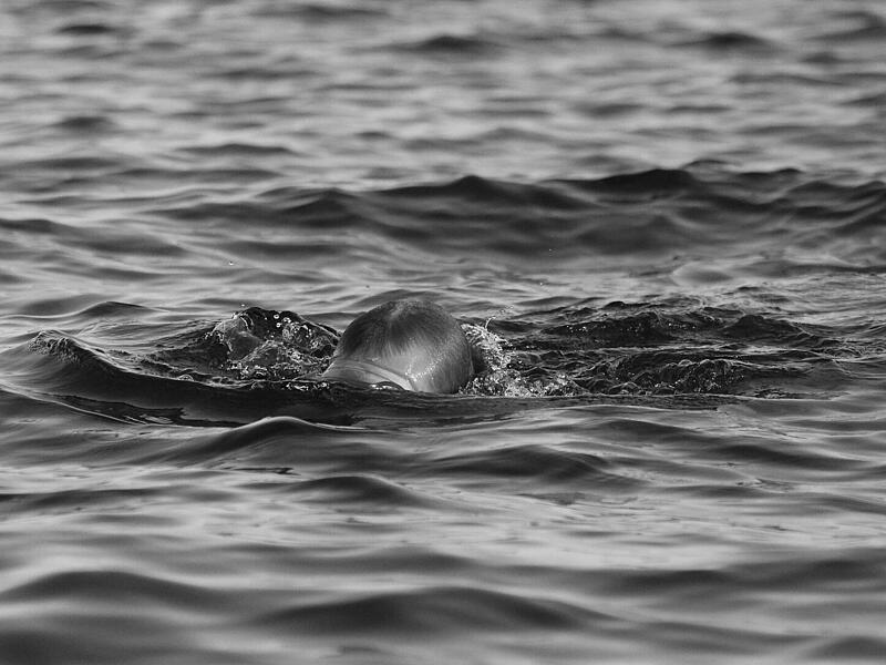 Baiersdorf: Mann stirbt nach Schwimmen in Baggersee