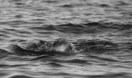 Baiersdorf: Mann stirbt nach Schwimmen in Baggersee