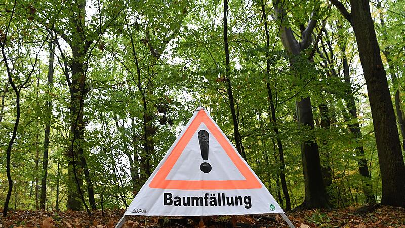 Baumfällarbeiten Baumfällarbeiten