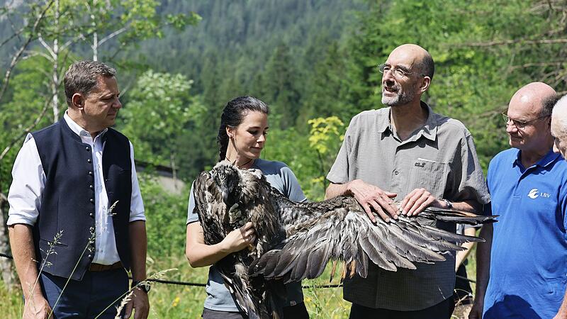 Zwei weitere Bartgeier ausgewildert