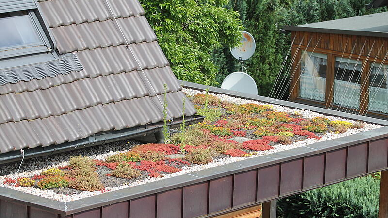 Nicht jede Pflanze eignet sich f&uuml;r die Begr&uuml;nung auf dem Dach.