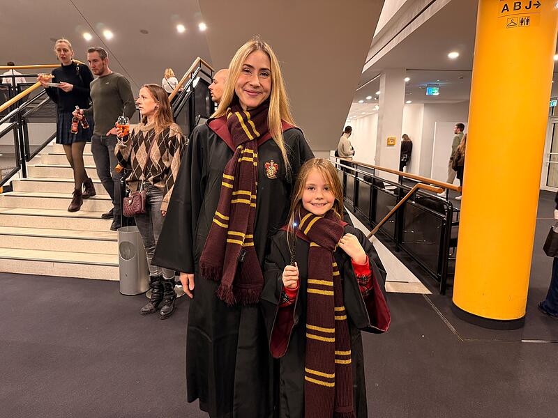 Harry Potter Harry Potter