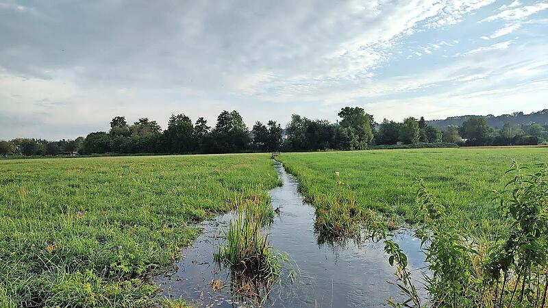 Ein Beispiel f&uuml;r die hiesige Kulturlandschaft: die W&auml;sserwiesen in Forchheim.