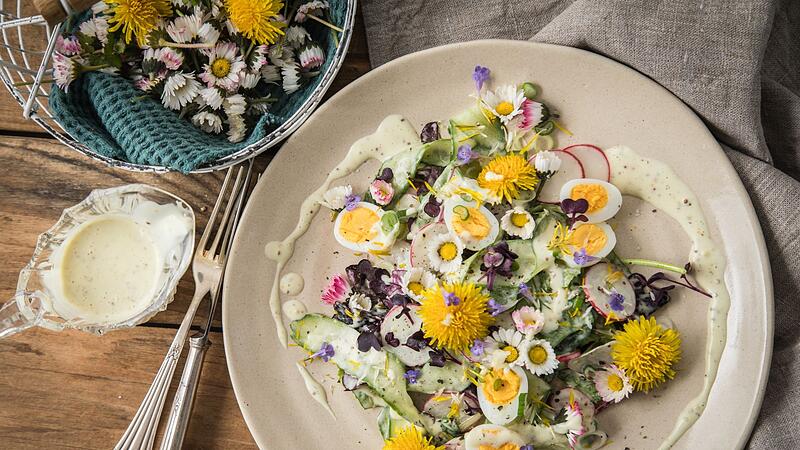 Mit Kindern essbare Wildpflanzen entdecken