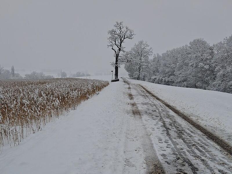 Schnee in Kulmbach: Die sch&ouml;nsten Leserfotos