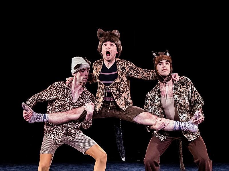 Das Kammerballett "First Steps" feierte erfolgreiche Premiere im Theater in der Reithalle in Coburg.Kammerballett "First Steps" in Coburg Das Kammerballett "First Steps" feierte erfolgreiche Premiere im Theater in der Reithalle in Coburg.