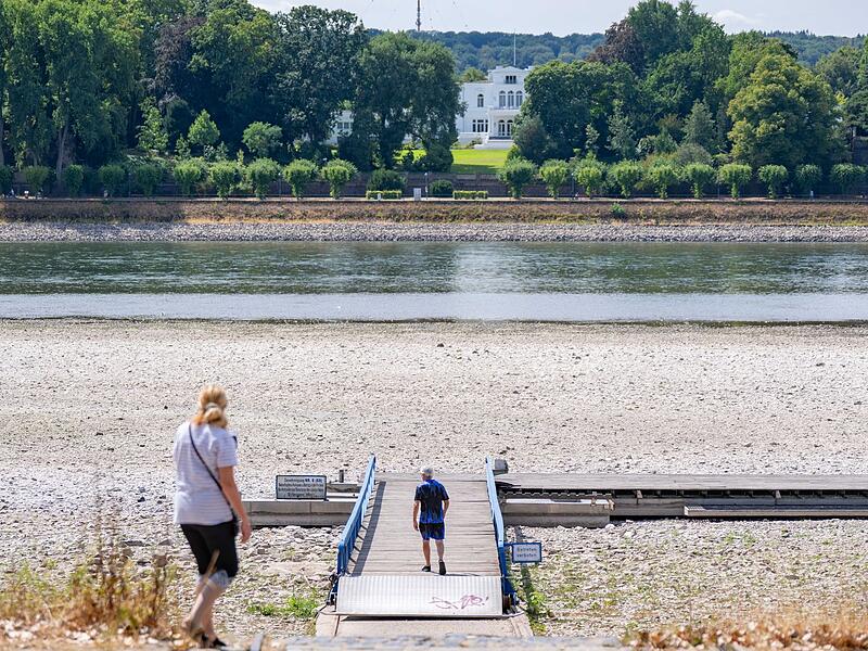 Niedrigwasser im Rhein