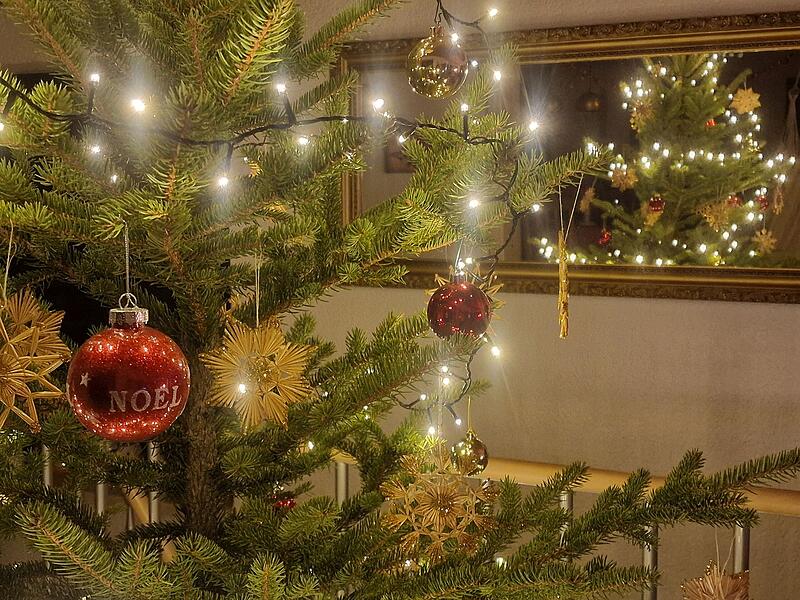 Der Weihnachtsbaum darf in keinem Jahr fehlen. Der Weihnachtsbaum darf in keinem Jahr fehlen.