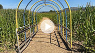 Das Maislabyrinth Gosberg im Selbstversuch: Ein Quickrun im Zeitraffer-Video