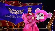 &laquo;The Masked Singer&raquo;