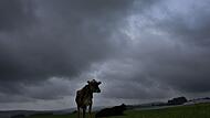 Wetter in Bayern