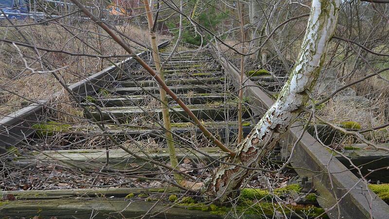 Die alte Bahntrasse zwischen Herzogenaurach und Erlangen wurde vor Jahrzehnten stillgelegt: Die Natur macht sich breit.