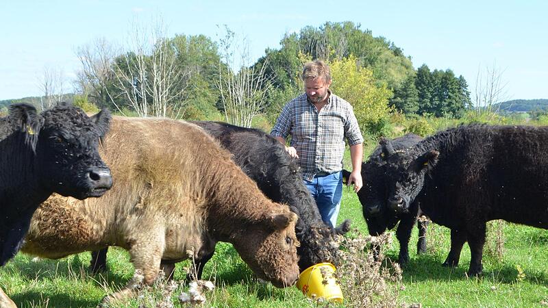 Steffen Schubert bei seiner Herde nahe Schweighof.