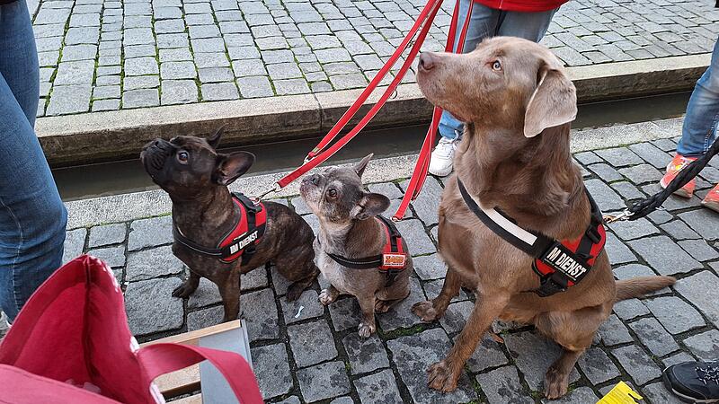 ASB Besuchshundedienst ForchheimForchheim & Fränkische Schweiz