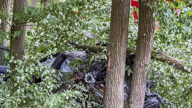 Forchheim: Autofahrer hinterlässt große Verwüstung - Bergung aufwendig Forchheim: Autofahrer hinterlässt große Verwüstung - Bergung aufwendig