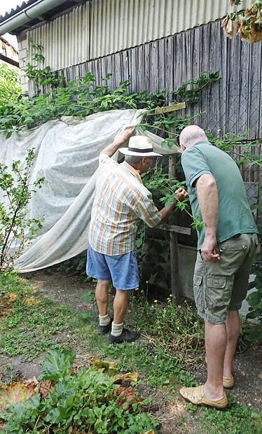 Der Testlauf zwischen dem Gartenpaten Gerhard Reinhard in Prappach (jeweils links) und dem Garteninteressenten Klaus-Michael Reinhard aus Zeil, die zwar den gleichen Nachnamen haben, aber nicht miteinander verwandt sind, hat geklappt. Die Chemie stimmte auf Anhieb zwischen den Gartenfreunden beim Besuch von Klaus-Michael Reinhard in Prappach. Es wurde gefachsimpelt: Zum Beispiel wurde der Einsatz eines Kulturvlieses zur Abwehr der Brombeergallmilbe an der Brombeere erörtert.