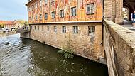 Harmlos? Träumen Sie weiter! Die Bamberger Birke am Alten Rathaus entwickelt sich zu einer regelrechten Gefahr.