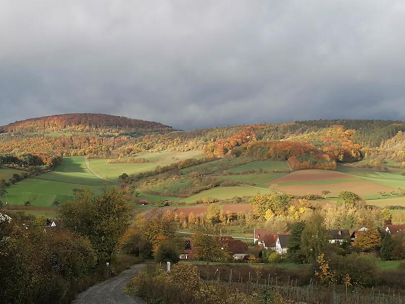 „Am Wochenende ist mir das Foto gelungen, mit dem Blick auf den Sodenberg. Schön verspielt durch die Sonneneinstrahlung“, erzählt Thomas Mendel.