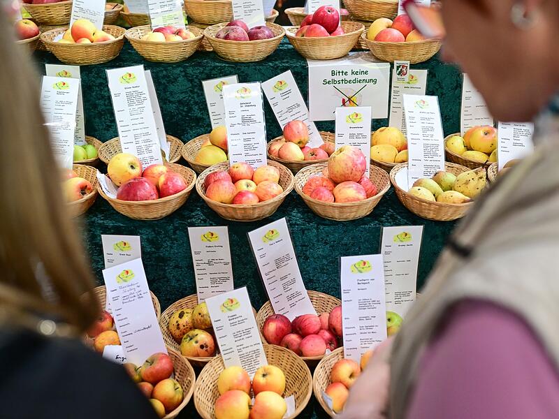 90. Gr&uuml;ne Woche Berlin - Er&ouml;ffnungstag