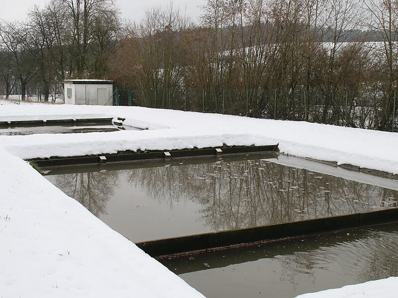 Teichkläranlage Wittershausen Teichkläranlage Wittershausen
