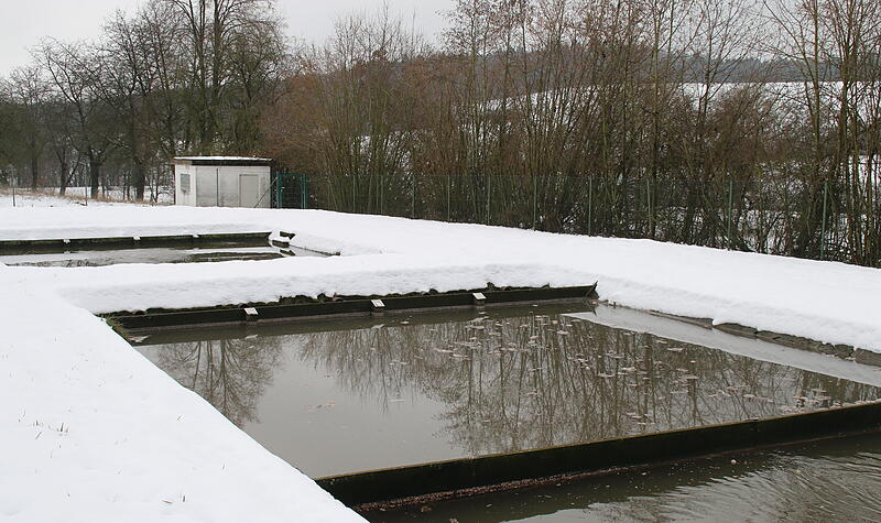 Teichkläranlage Wittershausen Teichkläranlage Wittershausen