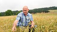 Landwirt Klaus Hanisch weiß, dass im Biolandbau die Natur die Qualitätssteuerung übernehme.