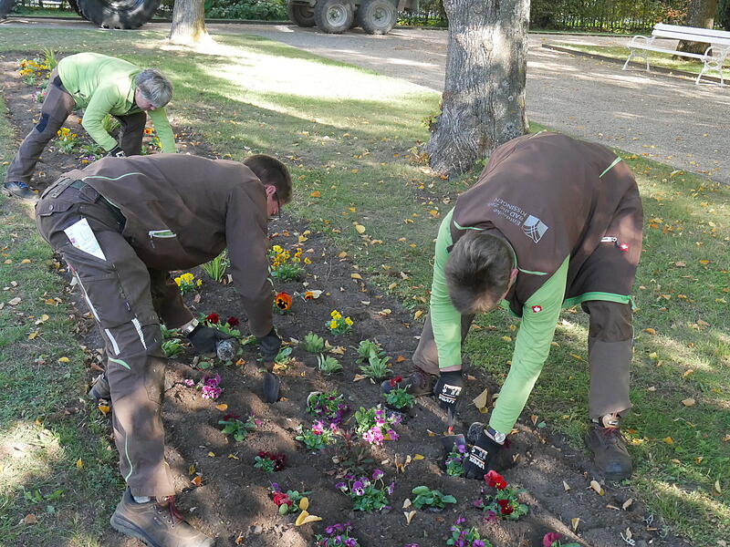 Andreas Munack und zwei G&auml;rtnerinnen pflanzen die neuen Blumen.