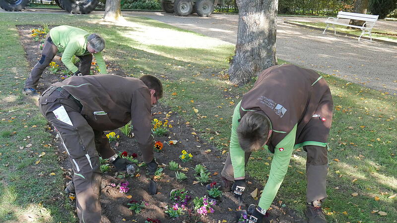 Andreas Munack und zwei G&auml;rtnerinnen pflanzen die neuen Blumen.
