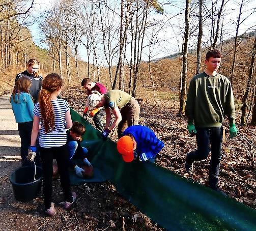 Junior Ranger beim Aufbau von Amphibienschutzz&auml;unen.
