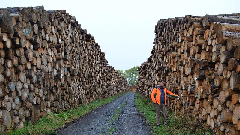 Holz ist begehrter denn je. Große Stapel sind eine große Versuchung – aber auch besonders gut gesichert.