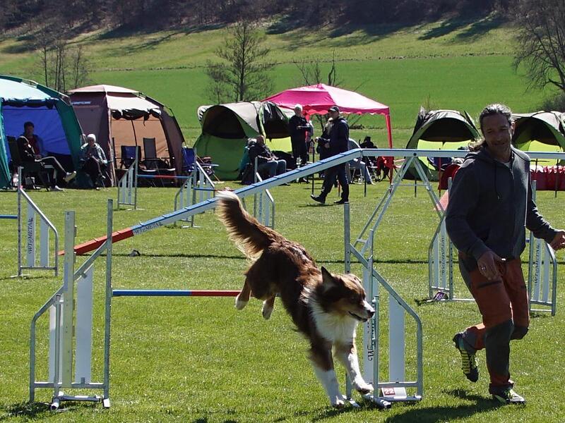 Recht zufrieden scheint der zweite Vorsitzende der „Agility-Fregger“ Bernhard Krapp mit diesem Durchgang.