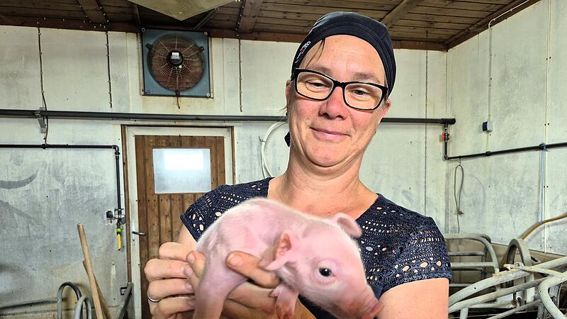 Kleine Ferkelchen benötigen Aufmerksamkeit und Liebe.