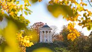 Englischer Garten im Morgenlicht