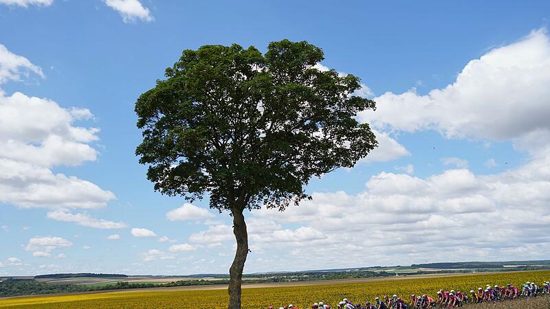 Tour de France