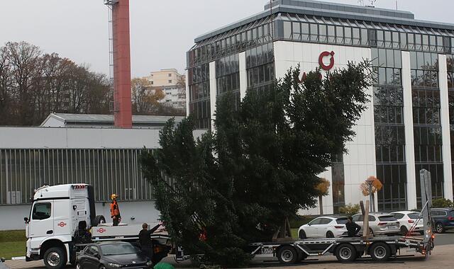 Weihnachtsbaum Coburg