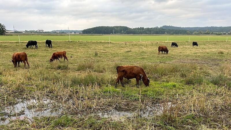 Naturschutzgebiet Glender Wiesen bei Coburg