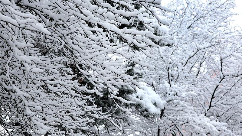 Schnee im S&uuml;den Bayerns