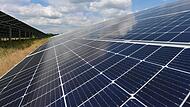 In Pommersfelden soll ein Solarpark wie dieser hier in Brandenburg entstehen. In Pommersfelden soll ein Solarpark wie dieser hier in Brandenburg entstehen.