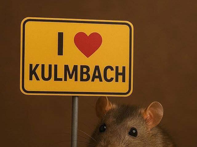 Ratte liebt Kulmbach