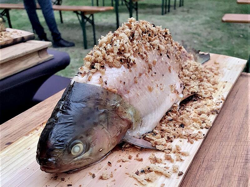 Lachsforelle auf Zedernholzbrett