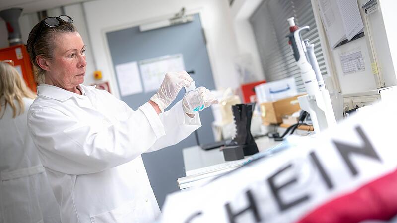 Labor: Manche Kleidung bei Shein mit Chemikalien belastet