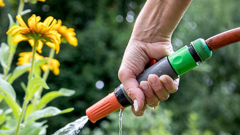 Wer beim Gie&szlig;en im Garten oder auf dem Balkon Trinkwasser verwendet, sollte auf den Verbrauch achten.