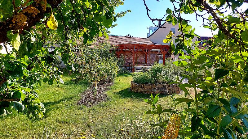Blick in das „Insektengärtle“, ein Projekt des OGV Fuchsstadt Blick in das „Insektengärtle“, ein Projekt des OGV Fuchsstadt