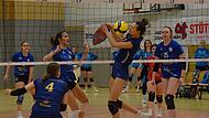 Volleyball aus Hammelburg Volleyball aus Hammelburg
