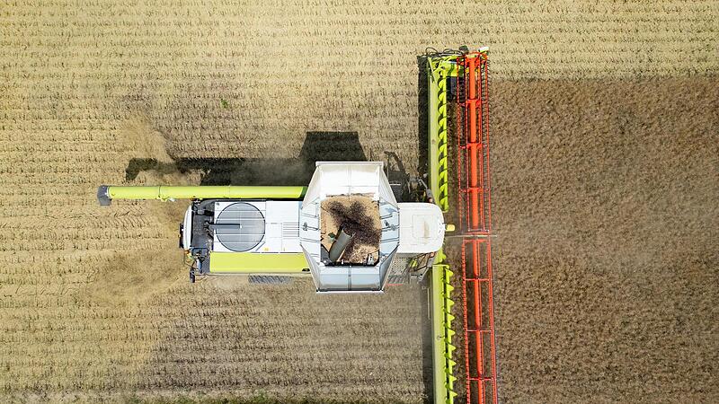 Ein Mähdrescher mit Raupenfahrwerk erntet Raps. (Luftaufnahme mit Drohne). Die explodierenden Bodenpreise für landwirtschaftliche Flächen machen den Bauern stark zu schaffen. Ein Mähdrescher mit Raupenfahrwerk erntet Raps. (Luftaufnahme mit Drohne). Die explodierenden Bodenpreise für landwirtschaftliche Flächen machen den Bauern stark zu schaffen.