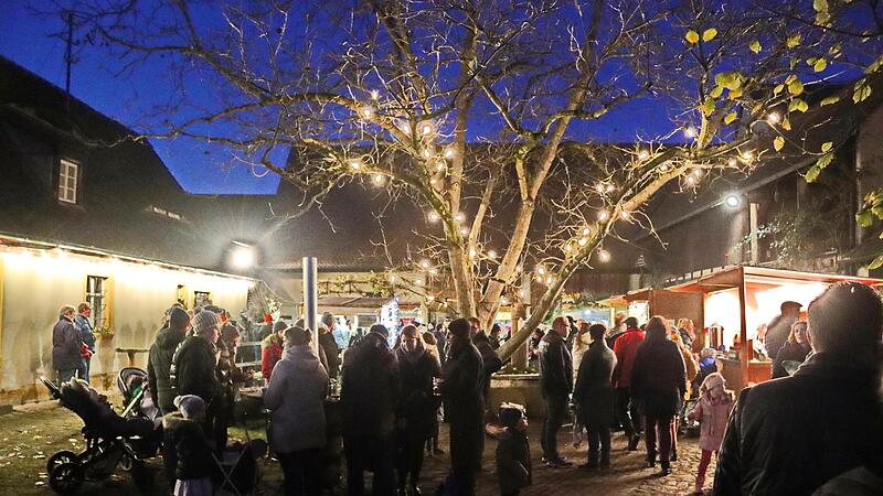 Der Martini-Markt in Frensdorf verspricht eine zauberhafte Atmosphäre.