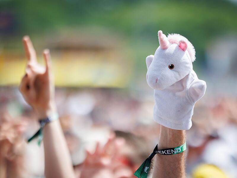 Open-Air-Festival "Rock im Park"