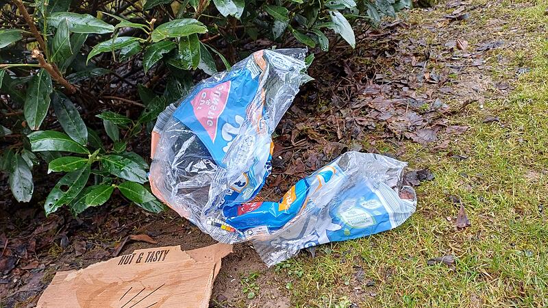 M&uuml;ll sammeln Kiesw&auml;sch