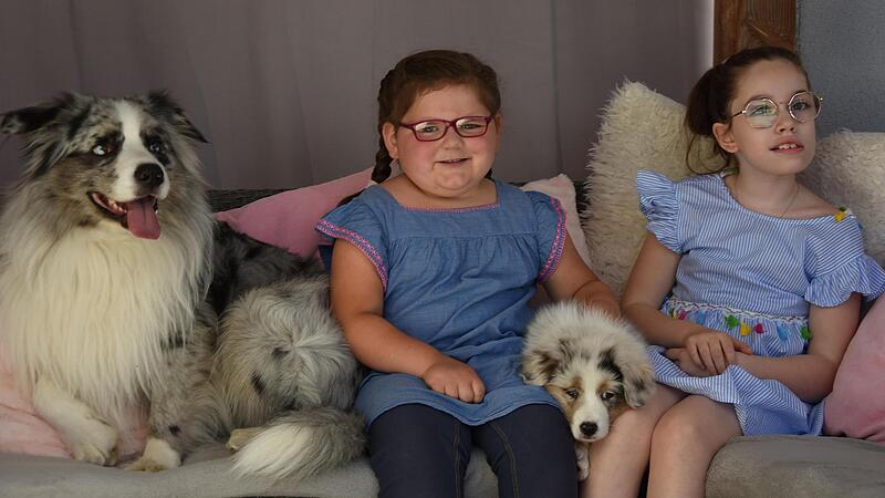 Genau wie Milah (rechts) hat nun auch Josefin (links) einen Assistenzhund.