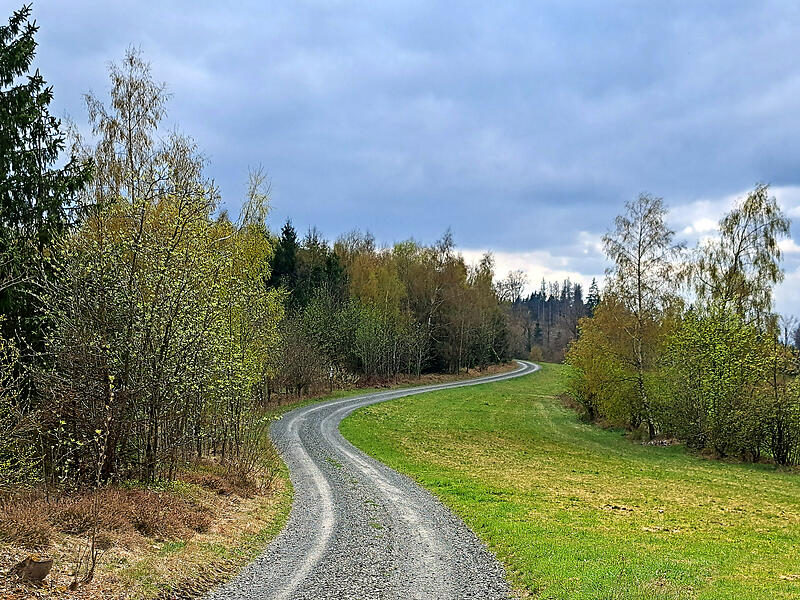 Leserfotos: So sch&ouml;n ist der Sommeranfang im FrankenwaldLeserfotos: So sch&ouml;n ist der Sommeranfang im Frankenwald